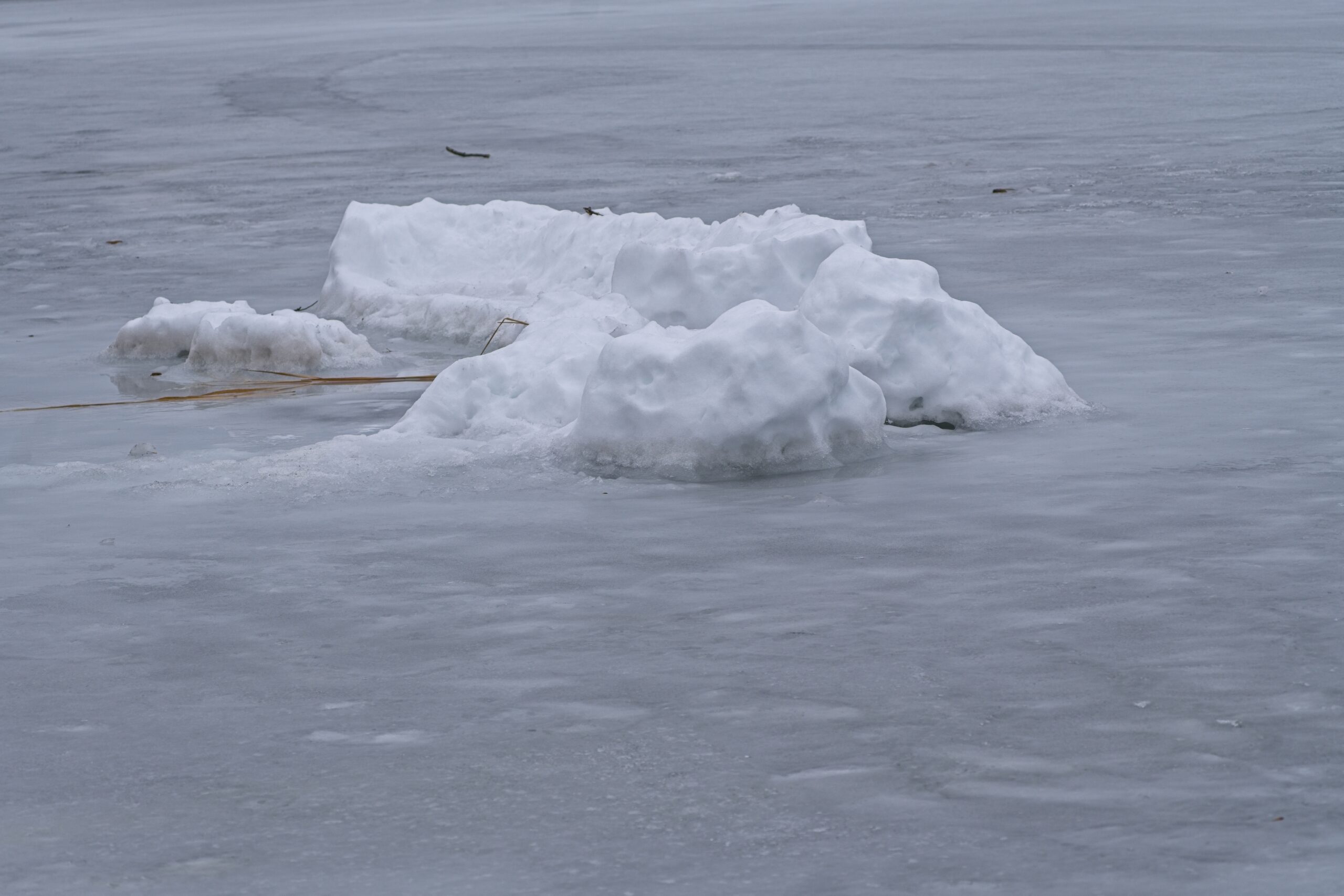 Eisberge Steinhuder Meer
