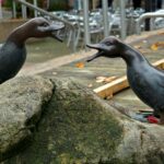 Skulpturen in der Innenstadt von Bad Pyrmont