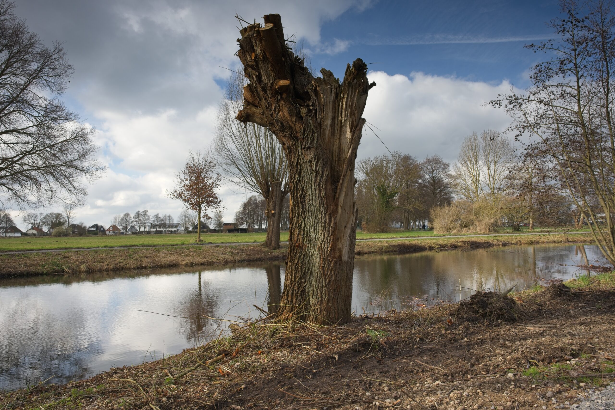 Zum Nature Thursday KW 12-26