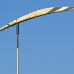 Libelle im Wund Nahaufnahme