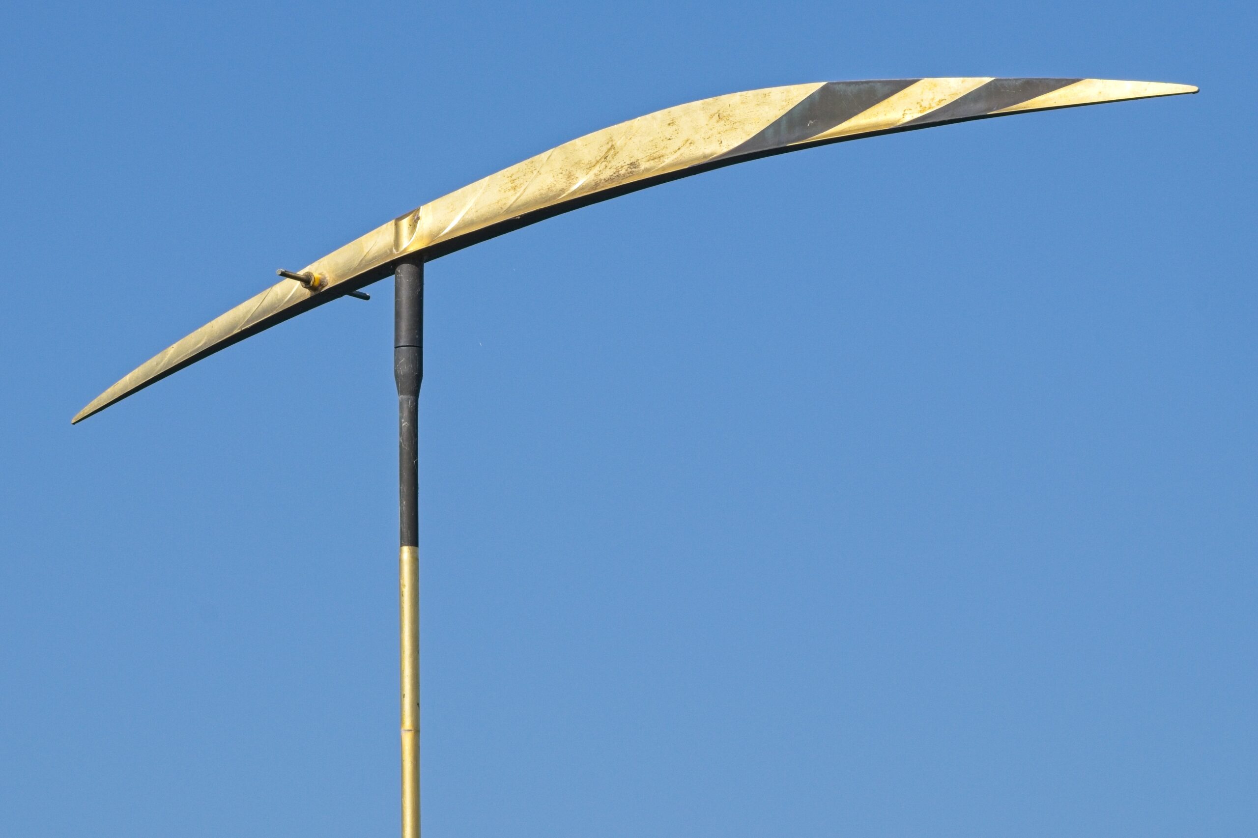 Libelle im Wund Nahaufnahme