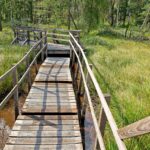 Der Weg durchs Moor