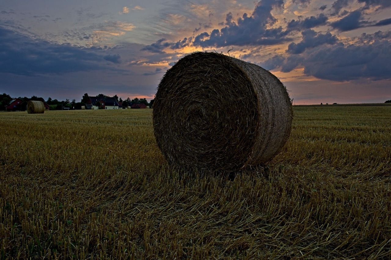 Strohballen vor untergehender Sonne