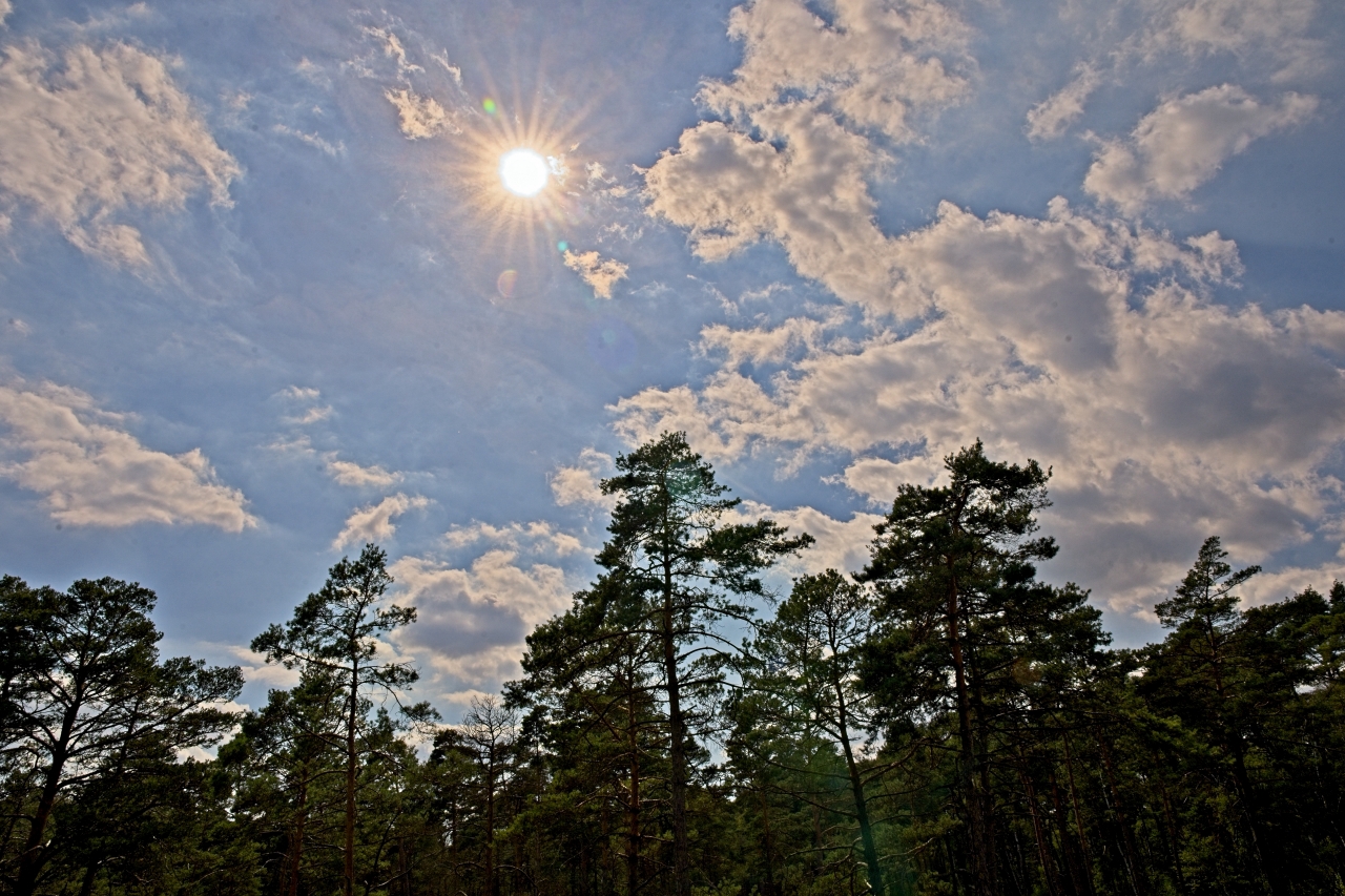 Himmel mit Blendenstern