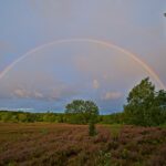 Regenbogen über der Heide