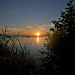 Sonnenuntergang zwischen den Büschen